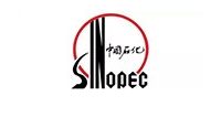 伙伴4